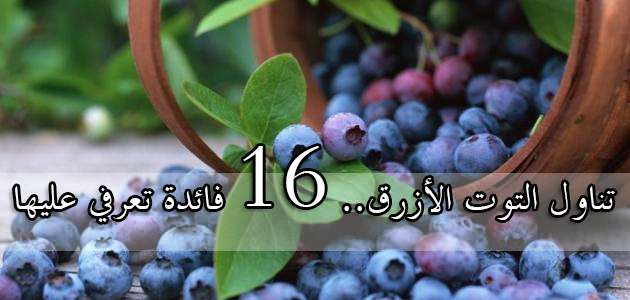 تناول التوت الأزرق.. 16 فائدة تعرفي عليها