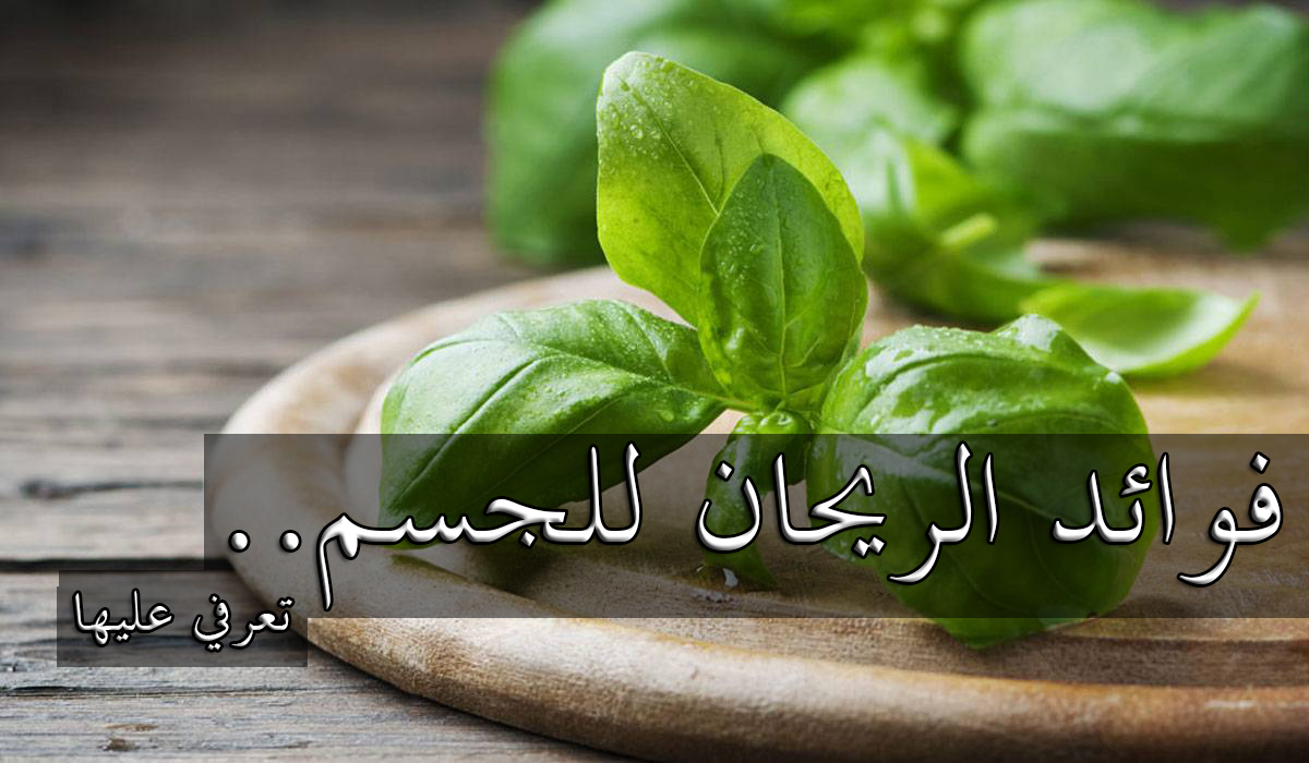 فوائد الريحان للجسم.. تعرفي عليها